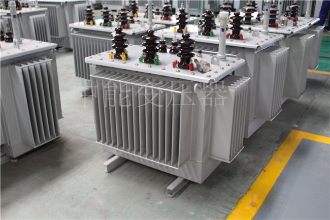 温州S22-100KVA/10KV/0.4KV变压器